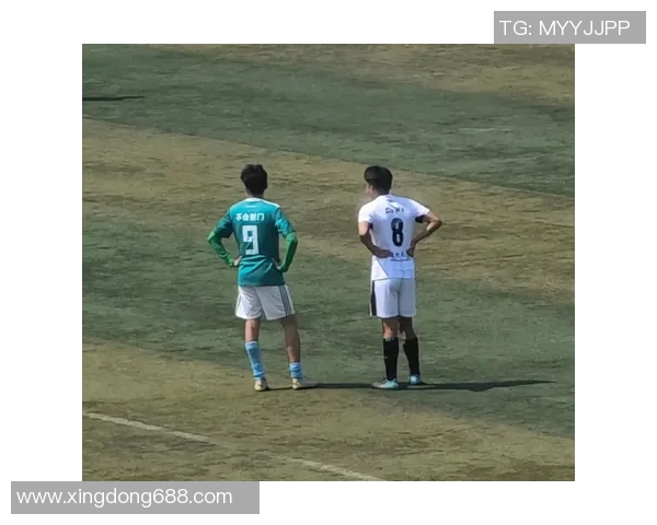 足球明星们热爱的多款游戏揭秘引发球迷们的热情追捧与讨论